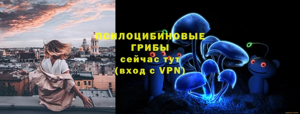 тгк Елабуга