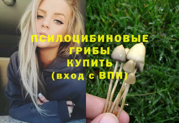 дмт Дмитров