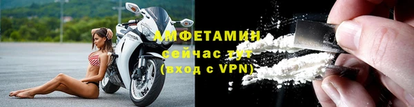 дмт Дмитров