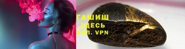 прущие грибы Ельня