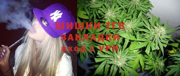 дмт Дмитров