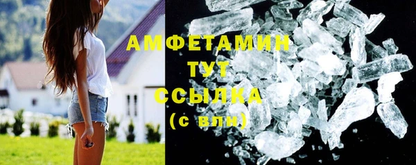 дмт Дмитров