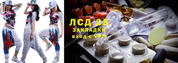 дмт Дмитров