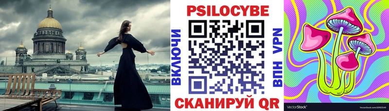 Псилоцибиновые грибы GOLDEN TEACHER Западная Двина
